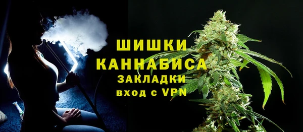 PSILOCYBIN Абаза