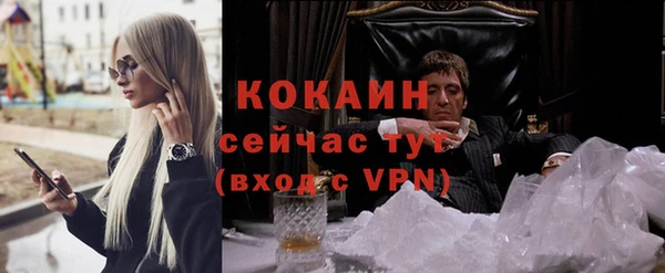 PSILOCYBIN Абаза