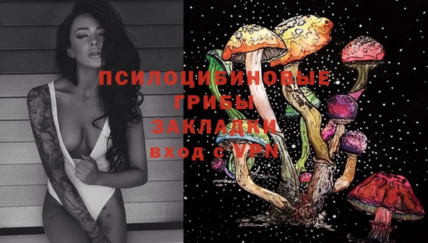 PSILOCYBIN Абаза