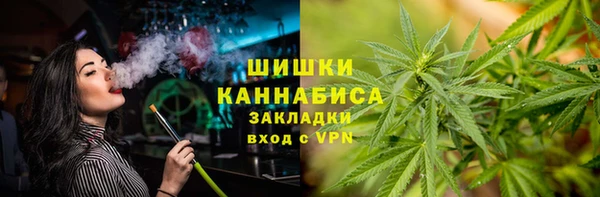 PSILOCYBIN Абаза