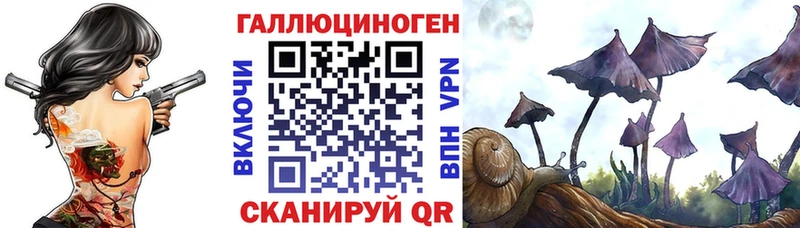 Псилоцибиновые грибы Psilocybine cubensis  Усть-Кут 