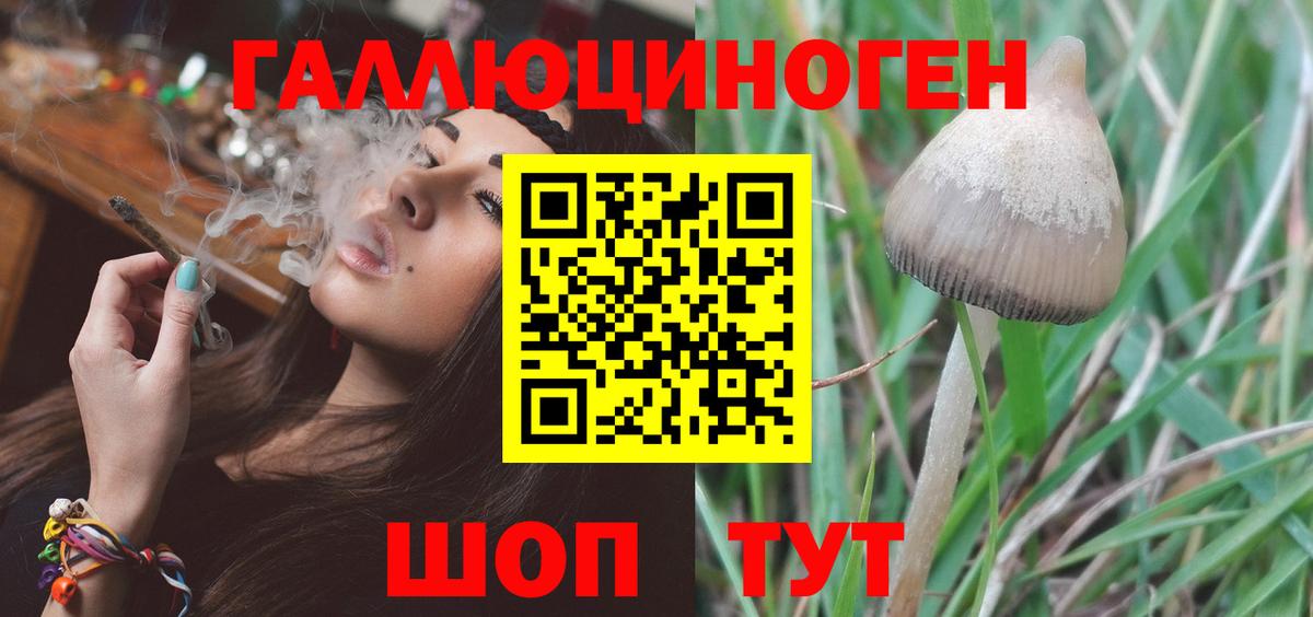 Усть-Кут  Галлюциногенные грибы Cubensis  Вход с VPN  Галлюциногенные грибы GOLDEN TEACHER 